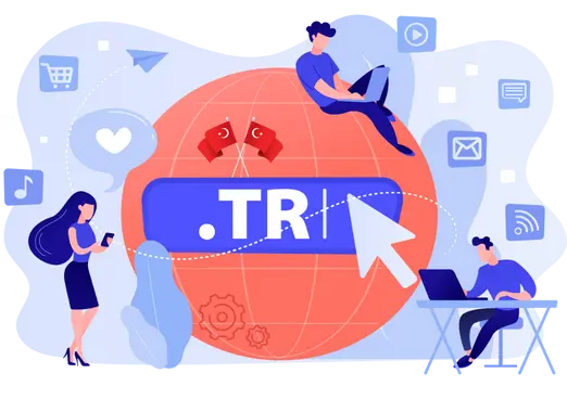 domain transfer nedir