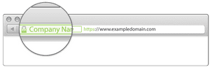 SSL Sertifikası Nedir ? Önemi ve Çeşitleri Nelerdir ? 2 ssl sertifikası nedir