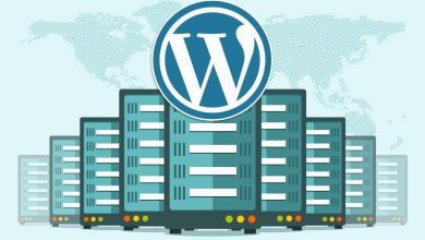 WordPress Yüksek İşlemci Kullanımı Nasıl Düşürülebilir? 2