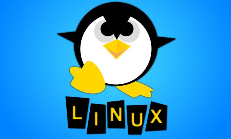 Centos 6 Çoklu IP Ekleme Nasıl Yapılır? 1 Centos 6 Çoklu IP Ekleme