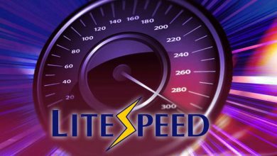 LiteSpeed Nedir? Özellikleri Nelerdir? 1