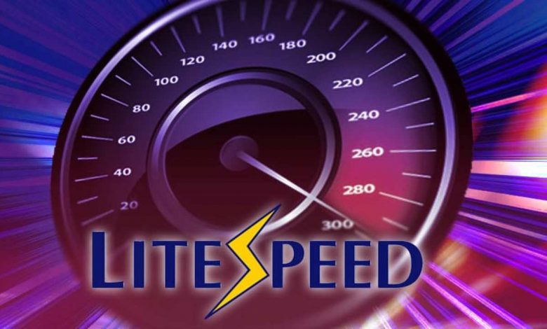 LiteSpeed Kurulumu - 3 Farklı Panel ve Ayarları 2023 1 LiteSpeed Kurulumu - 3 Farklı Panel ve Ayarları 1