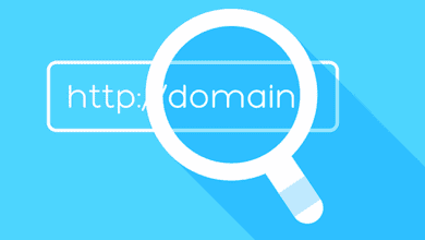 Alan Adı Sahibi Nasıl Bulunur