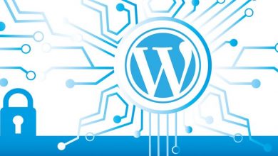 WordPress Site Güvenliği Nasıl Sağlanır? 3