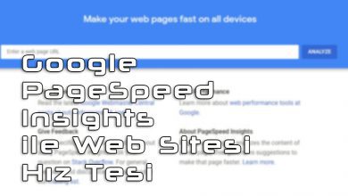 Google PageSpeed Insights ile Web Sitesi Hız Testi Yapmak 1