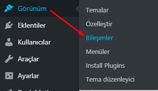 Wordpress Siteye Kod Ekleme - HTML ve PHP Kodları Ekleme 6 Wordpress Siteye Kod Ekleme 5