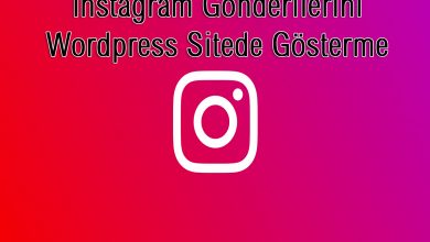 Instagram Gönderilerini Wordpress Sitede Gösterme
