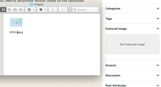 WordPress 5.4'de Neler Yeni (Özellikler ve Ekran Görüntüleri) 10 WordPress 5.4 - 9