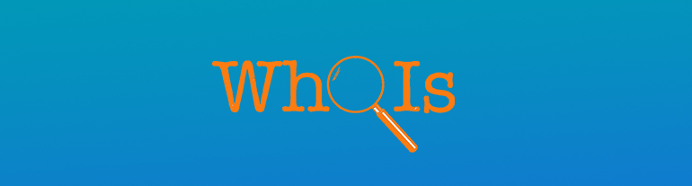 Whois Nedir? Whois Sorgulama Nasıl Yapılır? 2025 1 Whois Sorgulama