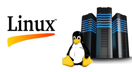 Linux Hosting Nedir ? 3