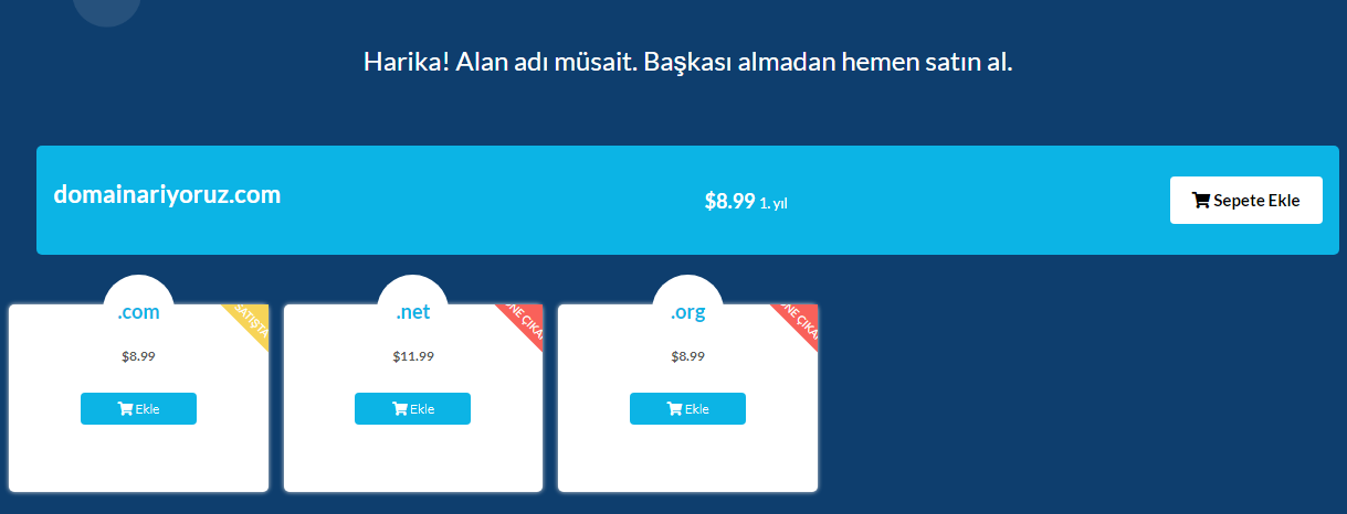 Alan Adı Nasıl Alınır? Güvenilir Domain Nasıl Satın Alınır [Resimli Anlatım] 42