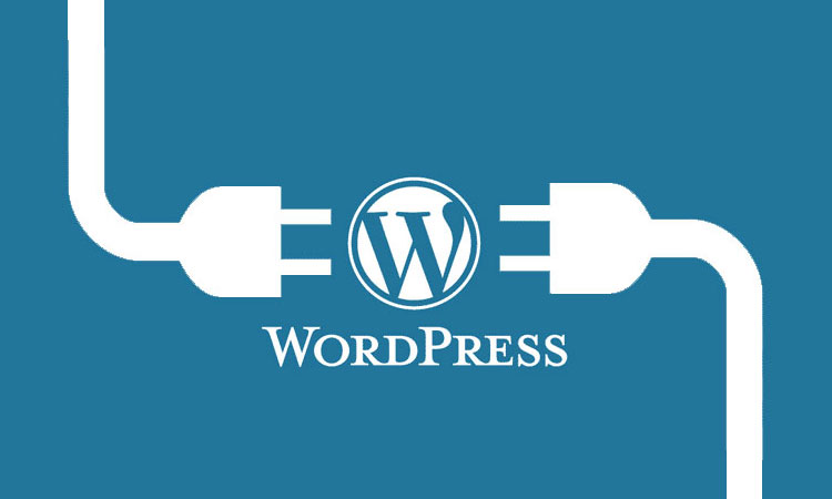 WordPress Eklenti Yüklemenin 3 Yolu