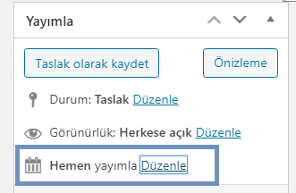 WordPress Yazı Zamanlama Nereden Yapılır ? 2