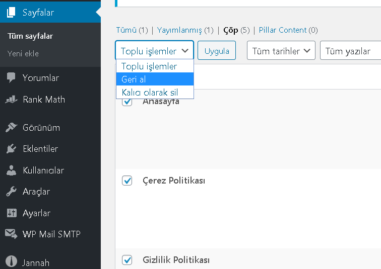 WordPress Silinen Sayfalar Nasıl Kurtarılır ? 3
