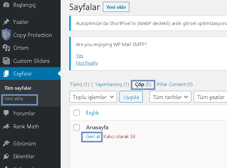 WordPress Silinen Sayfalar Nasıl Kurtarılır ? 2
