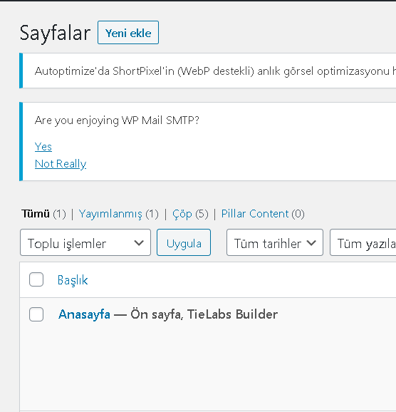 WordPress Silinen Sayfalar Nasıl Kurtarılır ? 1