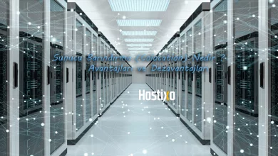 Sunucu Barındırma (Colocation) Nedir ? Avantajları ve Dezavantajları 2025 9 Sunucu Barındırma (Colocation) Nedir ? Avantajları ve Dezavantajları 5
