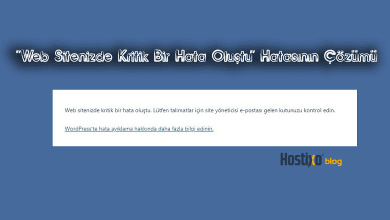''Web Sitenizde Kritik Bir Hata Oluştu'' Hatasının Çözümü 3
