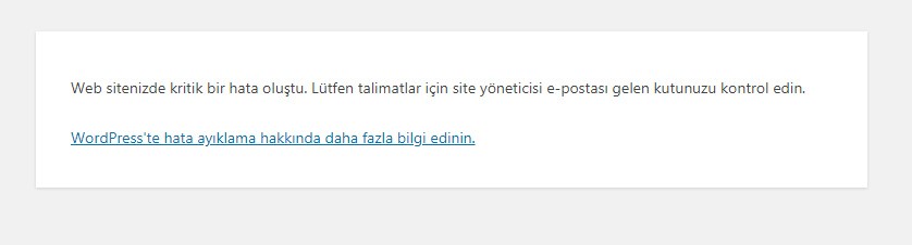 ''Web Sitenizde Kritik Bir Hata Oluştu'' Hatasının Çözümü