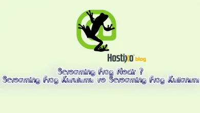 Screaming Frog Nedir ? Screaming Frog Kurulumu ve Screaming Frog Kullanımı 15