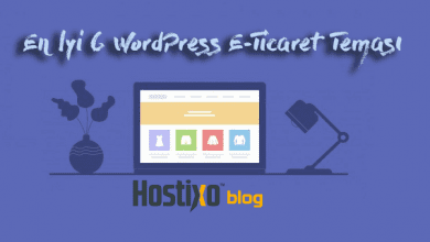 En İyi 6 WordPress E-Ticaret Teması 1