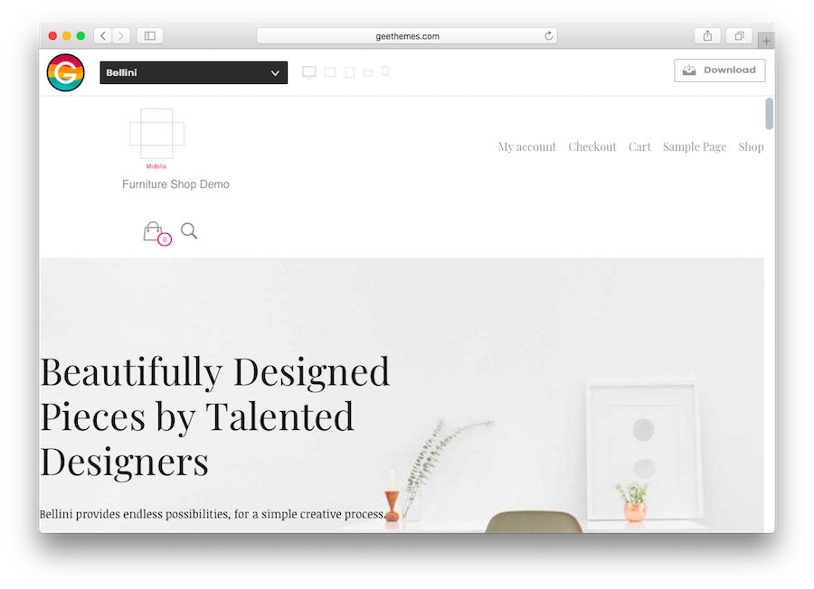 En İyi 6 WordPress E-Ticaret Teması 5