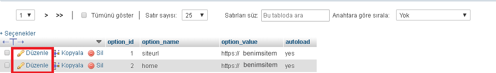 WordPress Alan Adı Değiştirme İşlemi 33