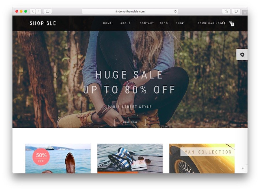En İyi 6 WordPress E-Ticaret Teması 1
