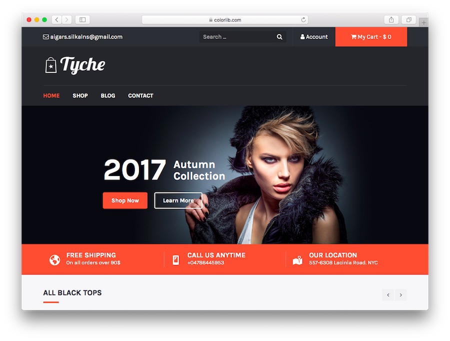 En İyi 6 WordPress E-Ticaret Teması 6