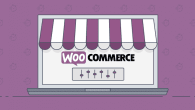 WooCommerce Kritik Bir Güvenlik Açığı Bulundu 11