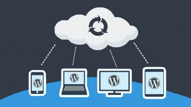 Wordpress Ücretsiz Site Yedekleme Eklentileri 13