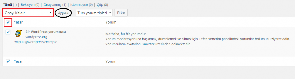 Wordpress Yorum Bölümünü Kaldırma 51
