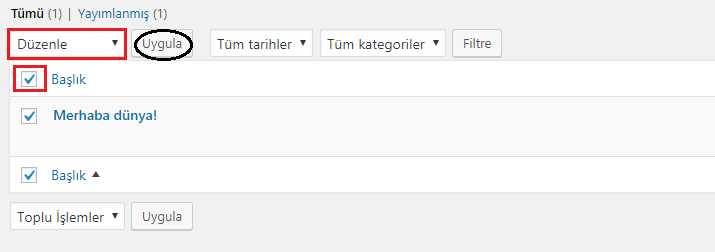 Wordpress Yorum Bölümünü Kaldırma 49