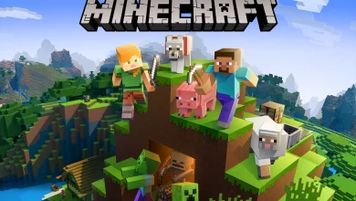 Minecraft Server Kurma