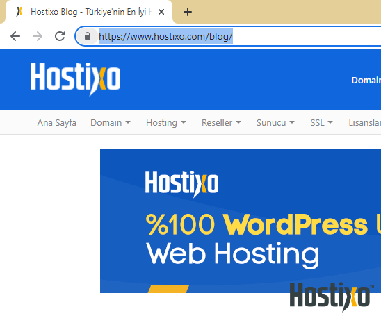 Bir Sitenin Kaynak Kodunu Görüntüleme 2