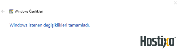 IIS Nedir? Nasıl Çalışır Ve Nasıl Kurulur? 1