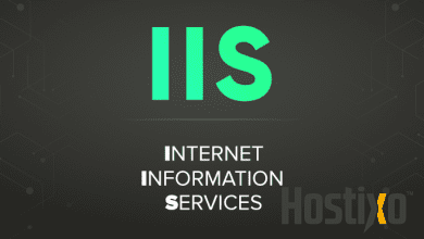 IIS Nedir? Nasıl Çalışır Ve Nasıl Kurulur? 3