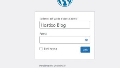 hostixo-blog-wordpress-admin-paneline-giremiyorum-hatasi-cozumu-wp-admin-giris