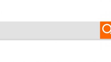 hostixo-blog-en-iyi-5-wordpress-arama-eklentisi-wp-plugin-wordpress-site-ici-arama