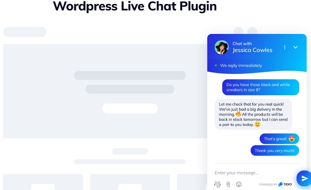 hostixo-blog-en-iyi-5-wordpress-canli-destek-eklentisi-tidio-live-chat
