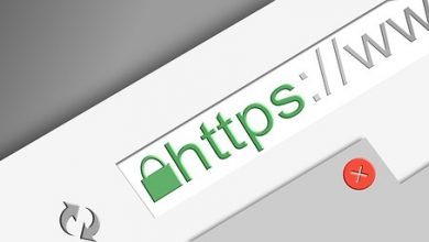 WordPress SSL Hatası Çözümü ve Sebepleri 2025 29 hostixo-blog-wordpress-ssl-hatasi-cozumu-ssl-hatasi-nedir
