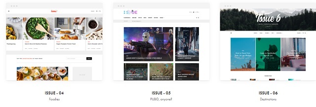 hostixo-blog-en-iyi-5-wordpress-kisisel-blog-temasi-issue