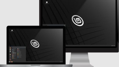 hostixo-blog-linux-mint-nedir-linux-mint-sistem-gereksinimleri-kurulumu