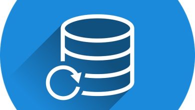 hostixo-blog-wordpress-veritabani-yedekleme-nasil-yapilir