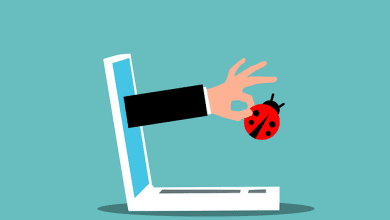 hostixo-blog-debugger-nedir-debug-ne-demek-hata-ayiklama-nedir