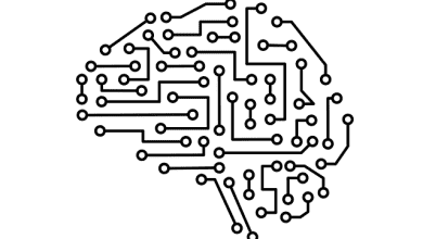 hostixo-blog-yapay-sinir-aglari-nasil-calisir