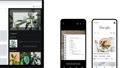 Mobil ve Bilgisayarda Google Lens Nasıl Kullanılır? 2025 42 hostixo-blog-google-lens-nasil-kullanilir-google-lens-ac