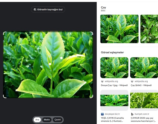 hostixo-blog-google-lens-nedir-ne-ise-yarar