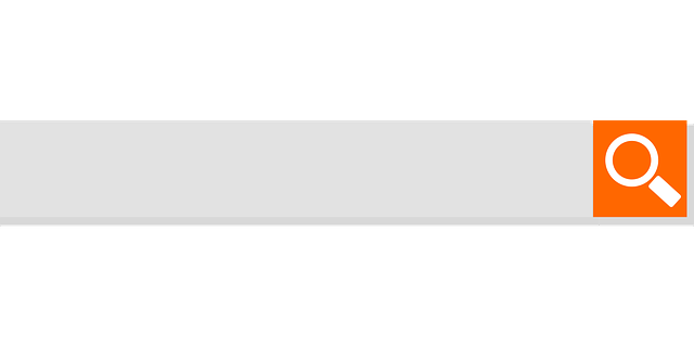 hostixo-blog-filtresiz-arama-motoru-en-populer-arama-motorlari