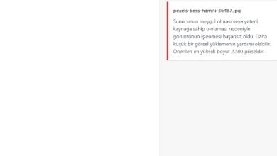 Sunucunun Meşgul Olması veya Yeterli Kaynağa Sahip Olmaması Hatası ve Çözümü 2025 6 hostixo-blog-sunucunun-mesgul-olmasi-hatasi-cozumu-onerilen-resim-boyutu